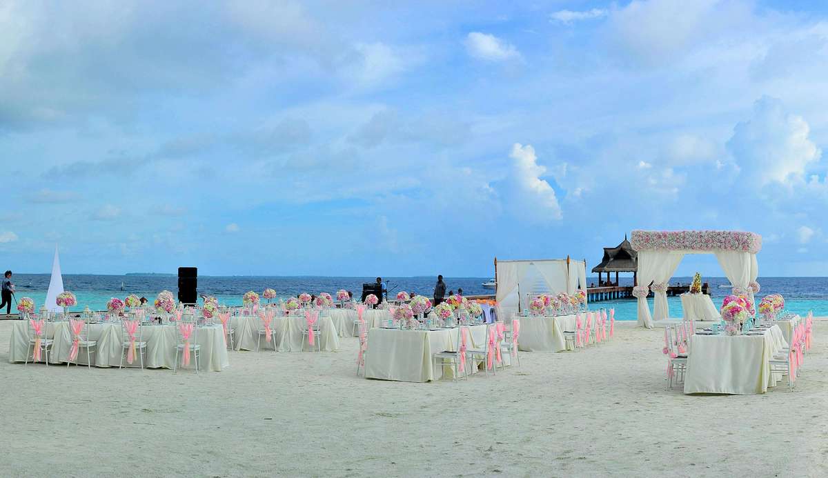 BusBrother Wedding Transportation - Beach Wedding Guest Shuttle Service Florida